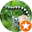 Marie-Christine H (Cricri) profile picture